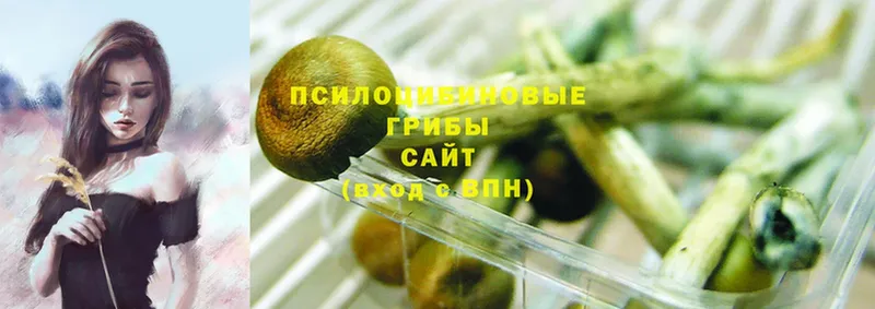 Галлюциногенные грибы Magic Shrooms  МЕГА ссылки  Велиж 